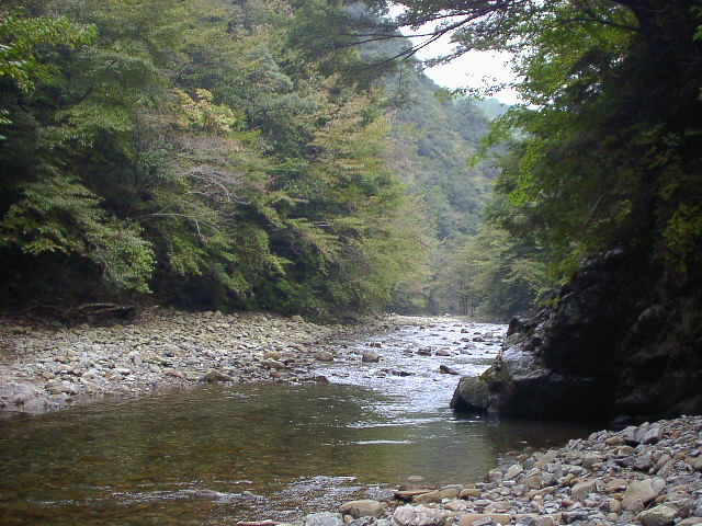 富田川上流