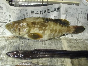 (添付1) 1063811769.1.JPG