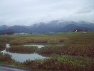 (添付1) 1064477097.5.1.jpg